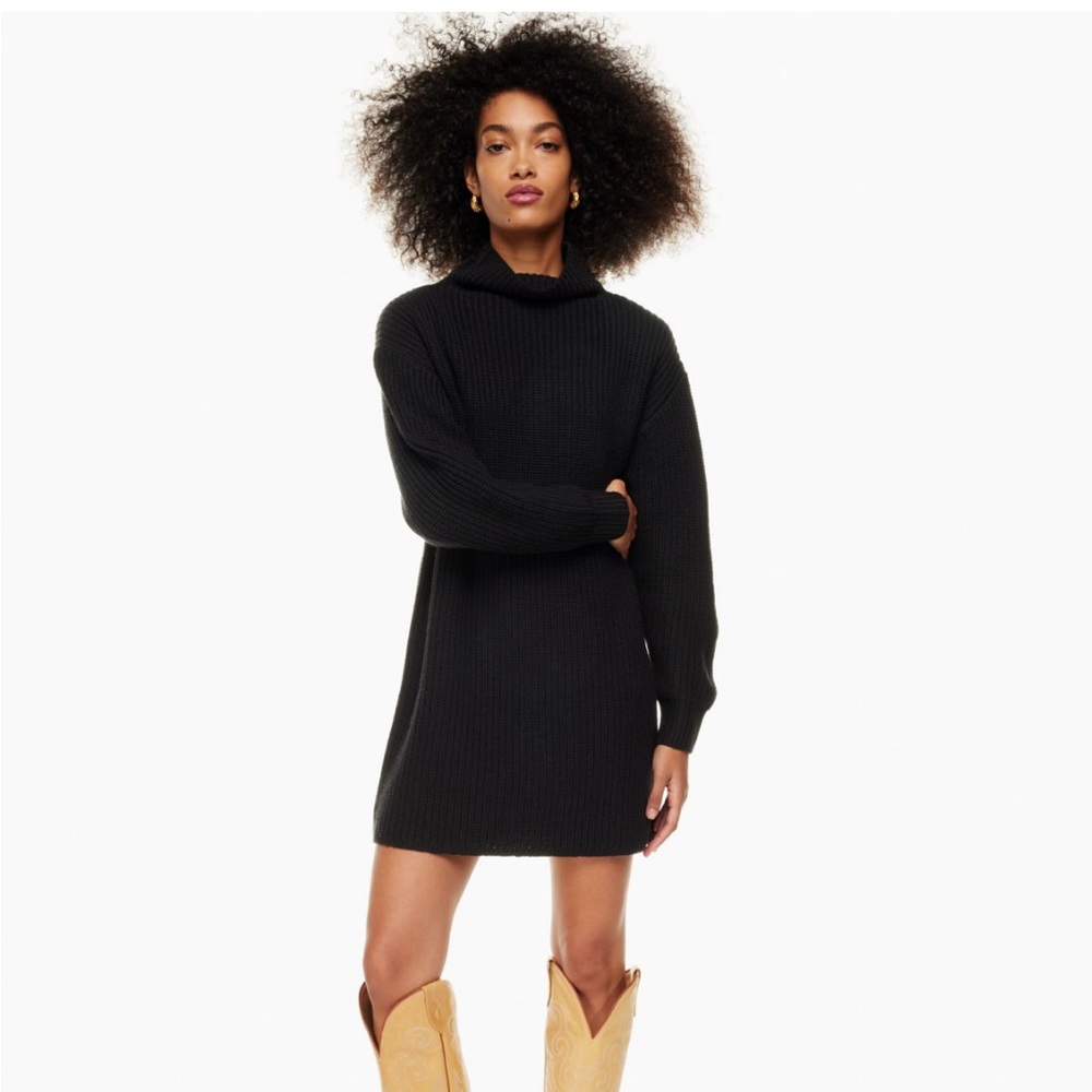 Aritzia Montpellier Dress